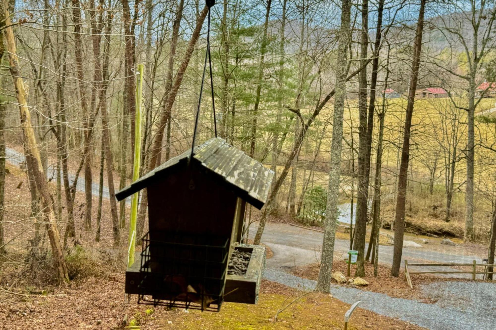 Bluebird Bliss Hébergement de vacances Blue Ridge