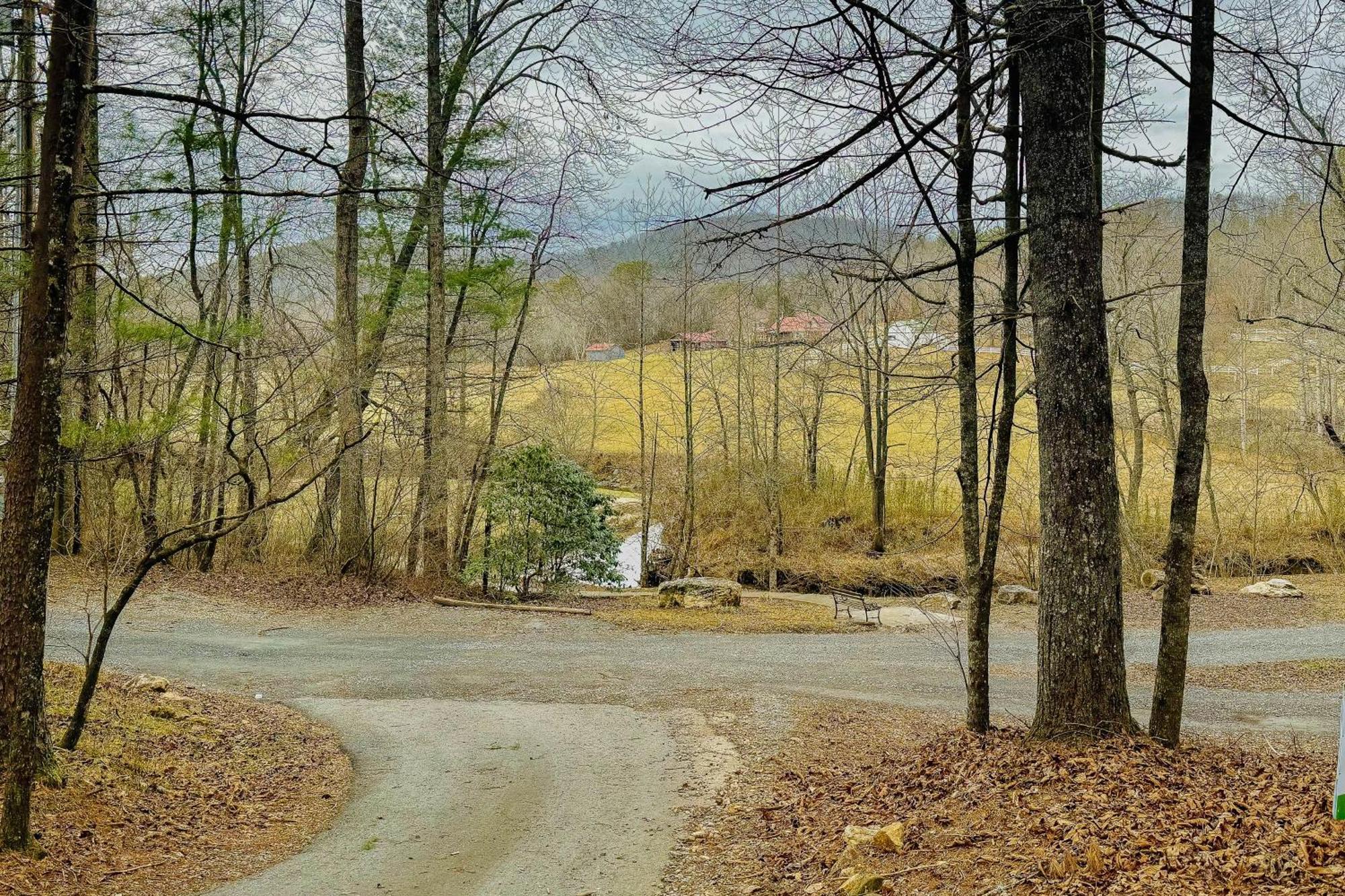 Bluebird Bliss Hébergement de vacances Blue Ridge